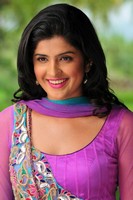 Deeksh Seth Latest Stills